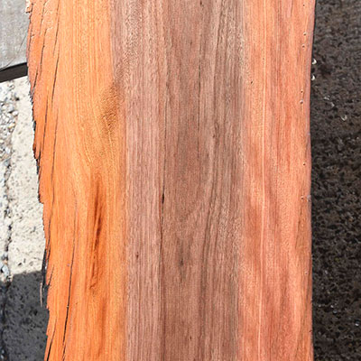 image of ohia lumber
